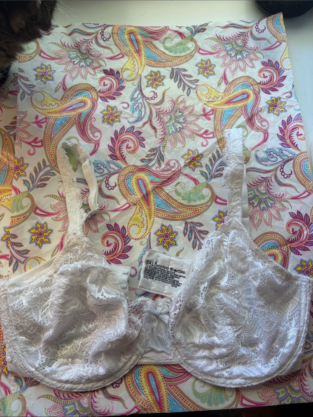 Bali Lace Underwire Bra in White 34DD